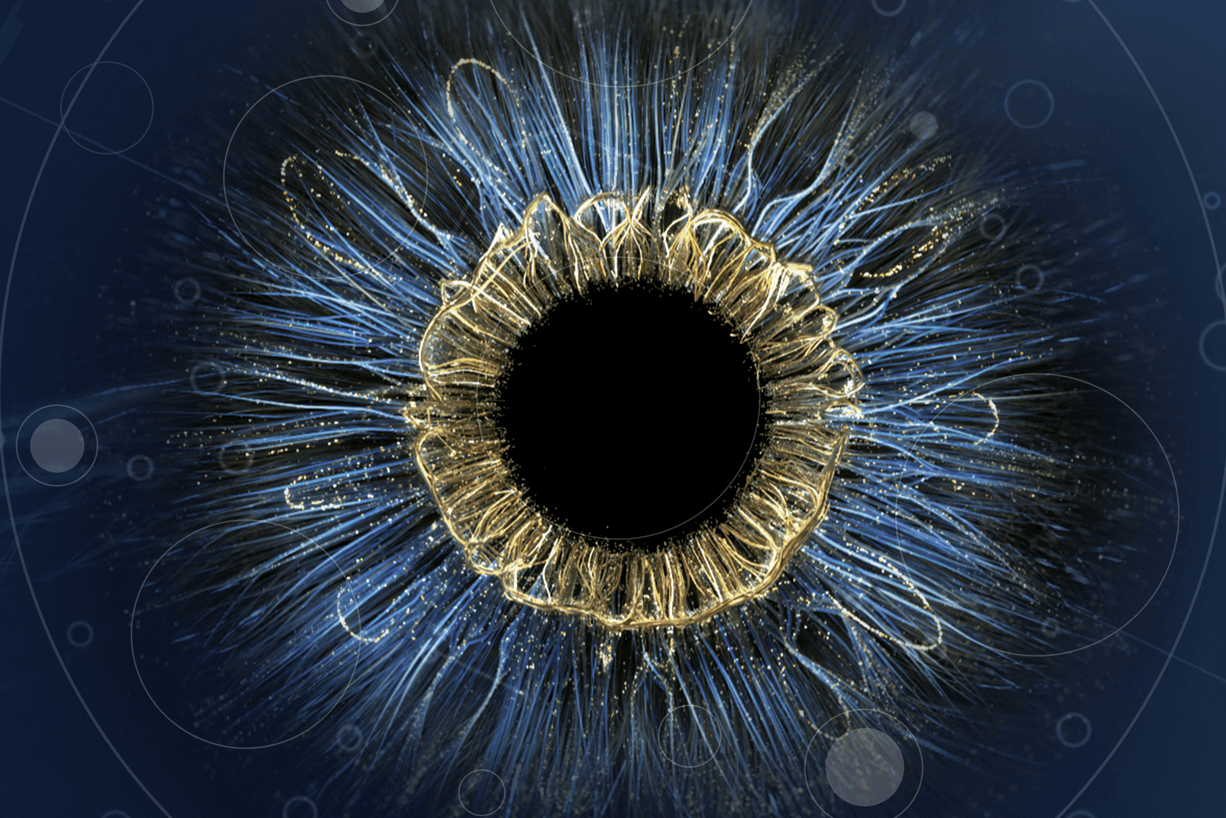 Optometrie 5 Featured image for “Mit diesen augenoptischen Geräten arbeiten wir”